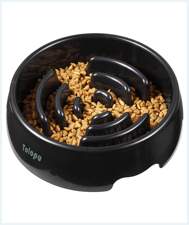 Slow feeder dog bowl