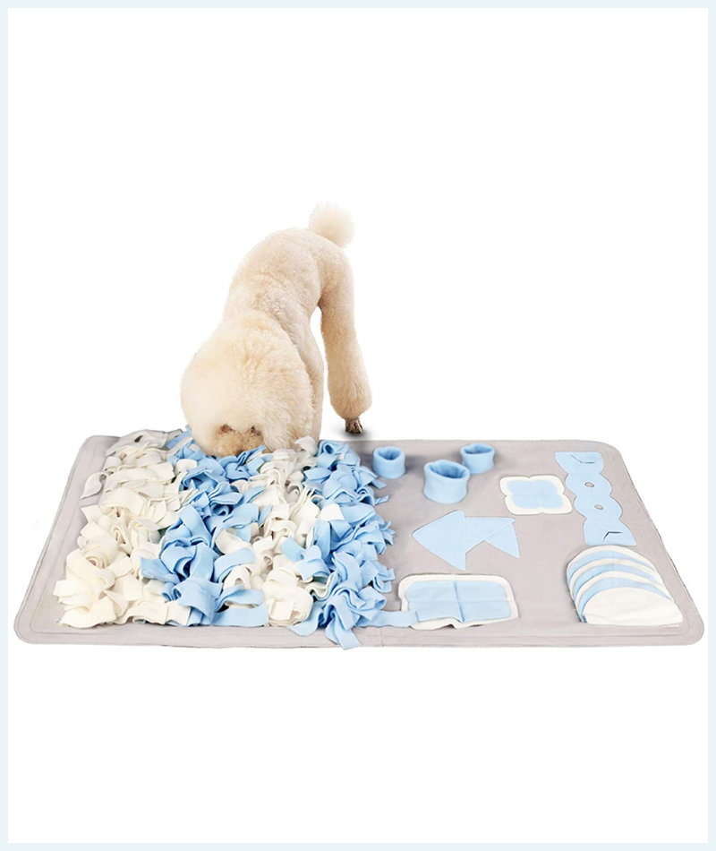 Snuffle mat for brain and sense of smell enhancement